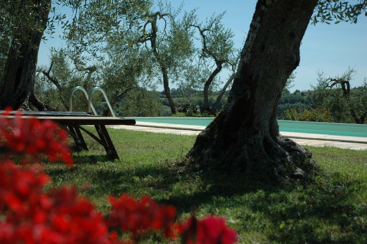 Agriturismo Le Querce 팔라야 외부 사진