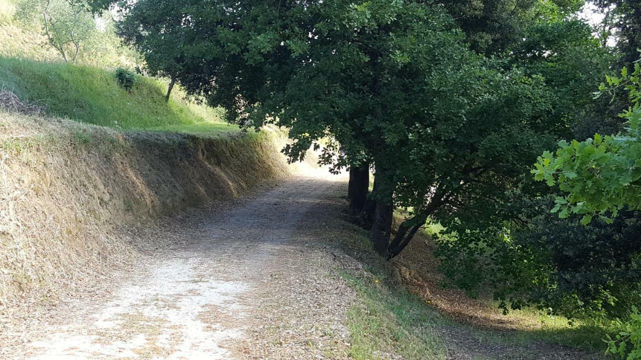 Agriturismo Le Querce 팔라야 외부 사진